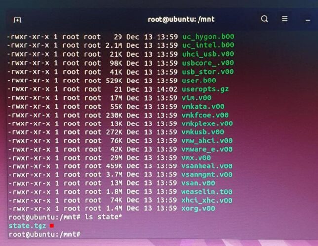 Linux Ubuntu - Terminal: sistema montado e arquivo state.tgz localizado